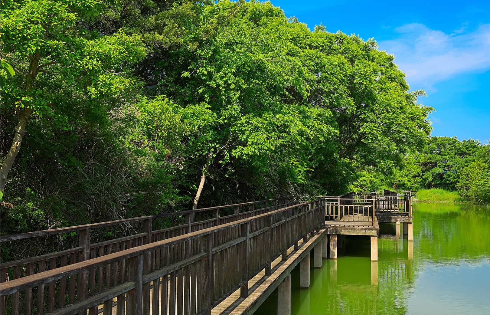 長池自然公園